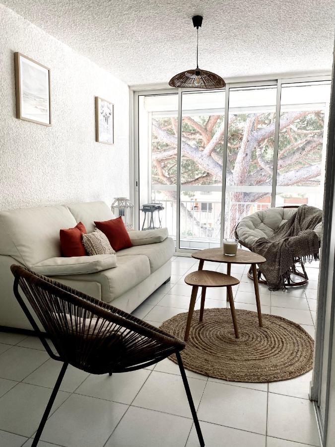 Superbe Appartement Cosy Vue Mer Pieds Dans L'Eau كافالير سور مير المظهر الخارجي الصورة